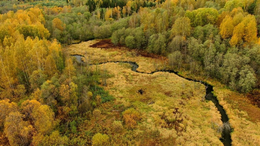 Краски осени