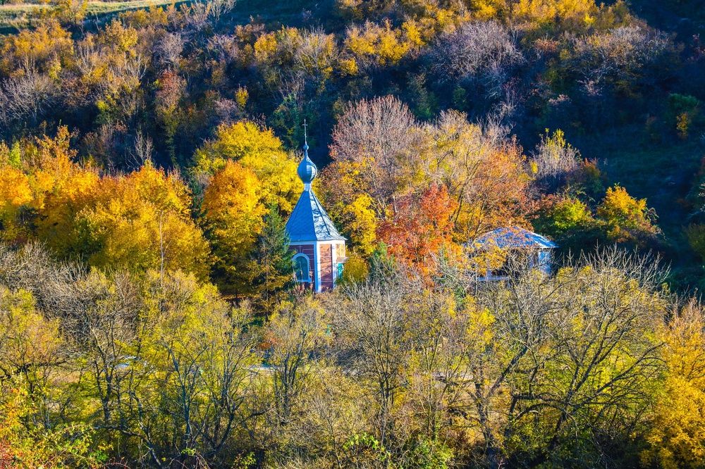 Photograph by Полина