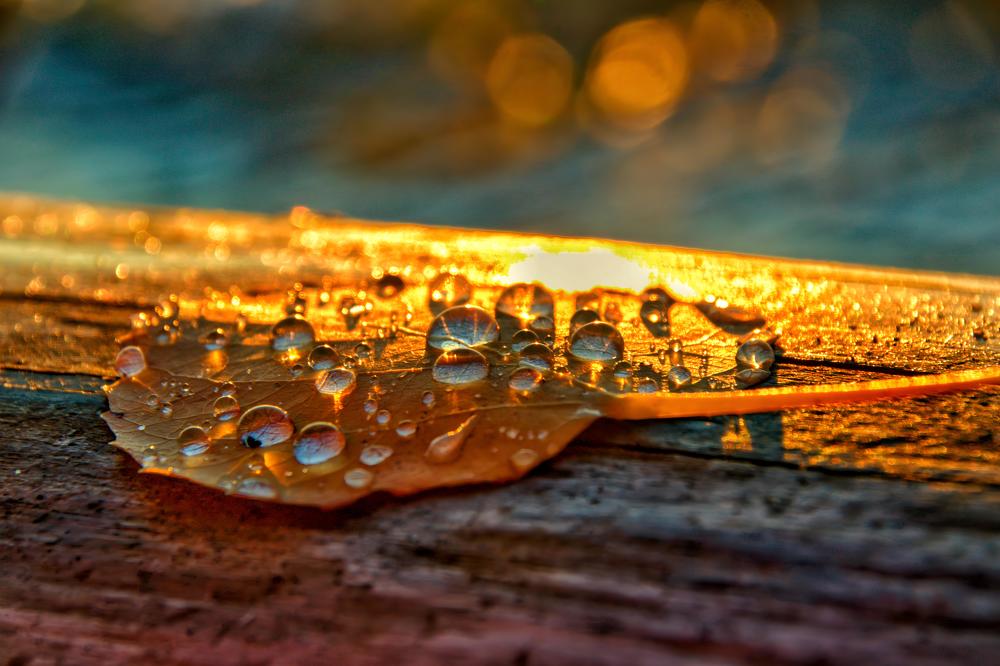 Photograph by Виктория Лобанова