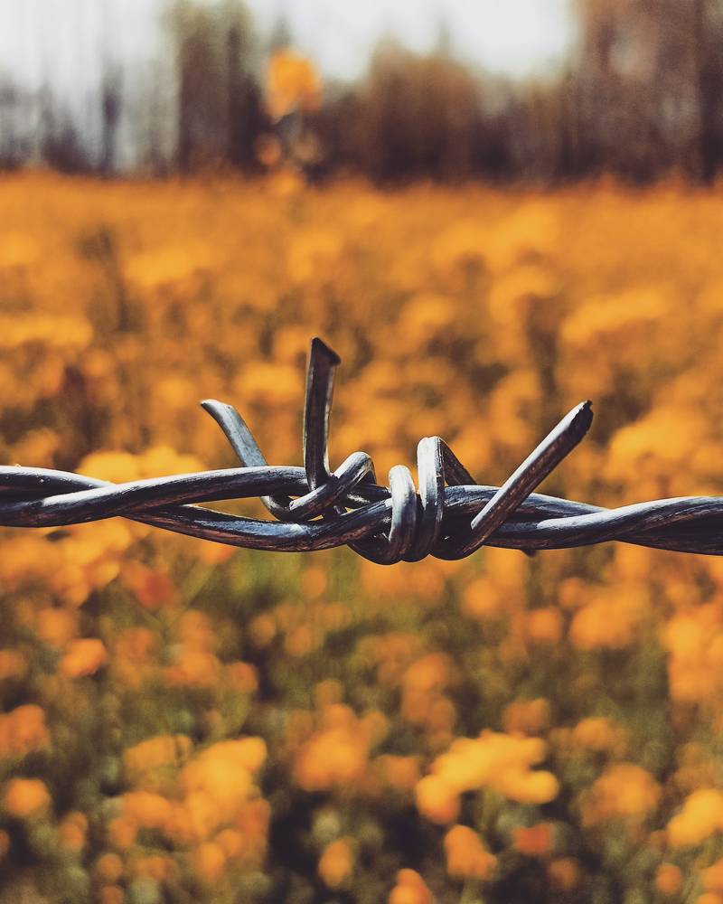 Photograph by Murtaza Rashid