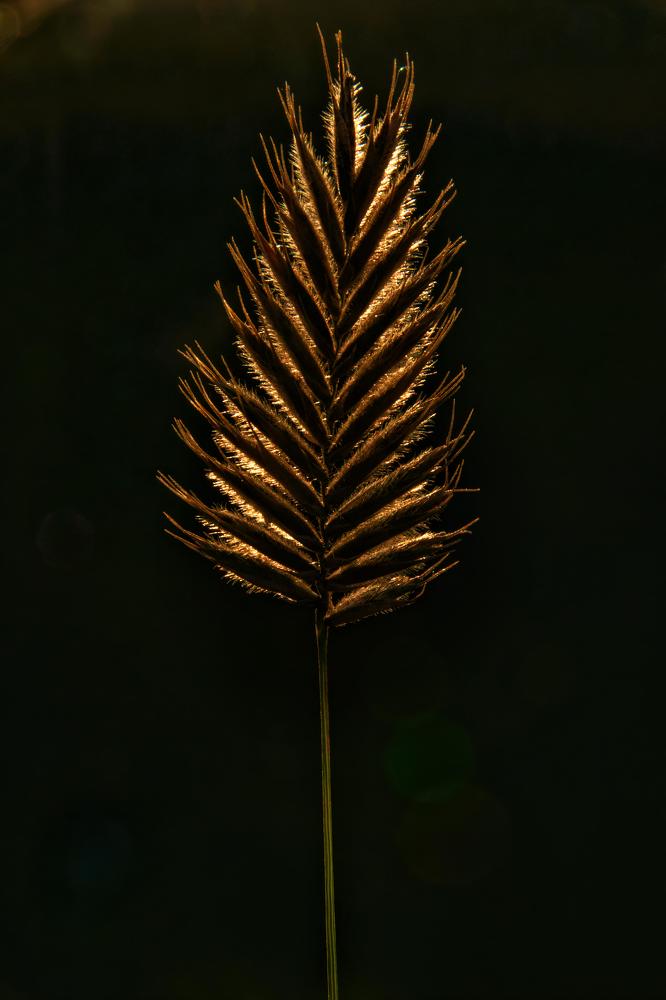 Photograph by Виктория Лобанова