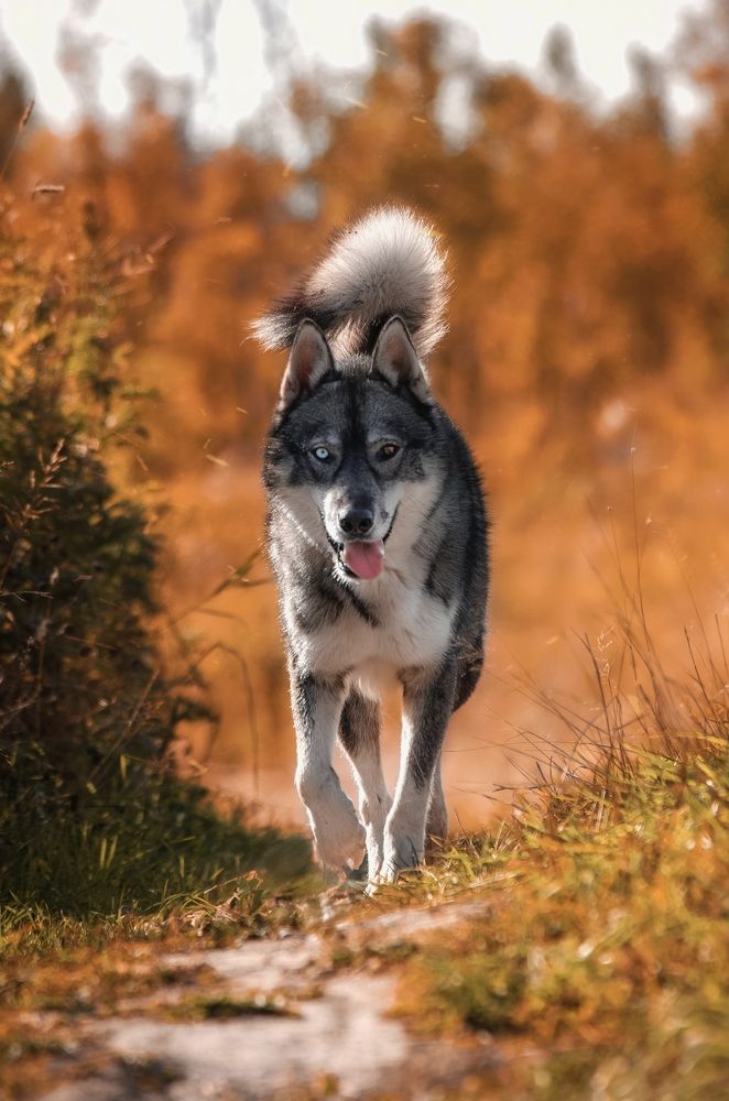 Photograph by Вероника Ливанова