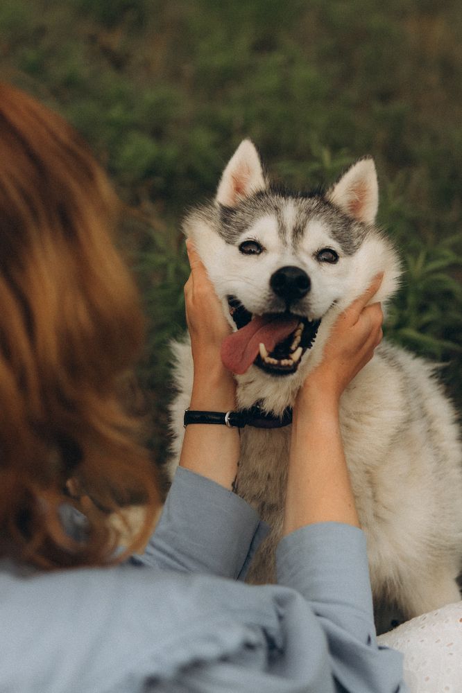Photograph by Анастасия Черкасова