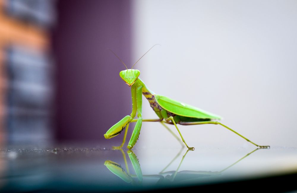 Photograph by Евгения Дахина