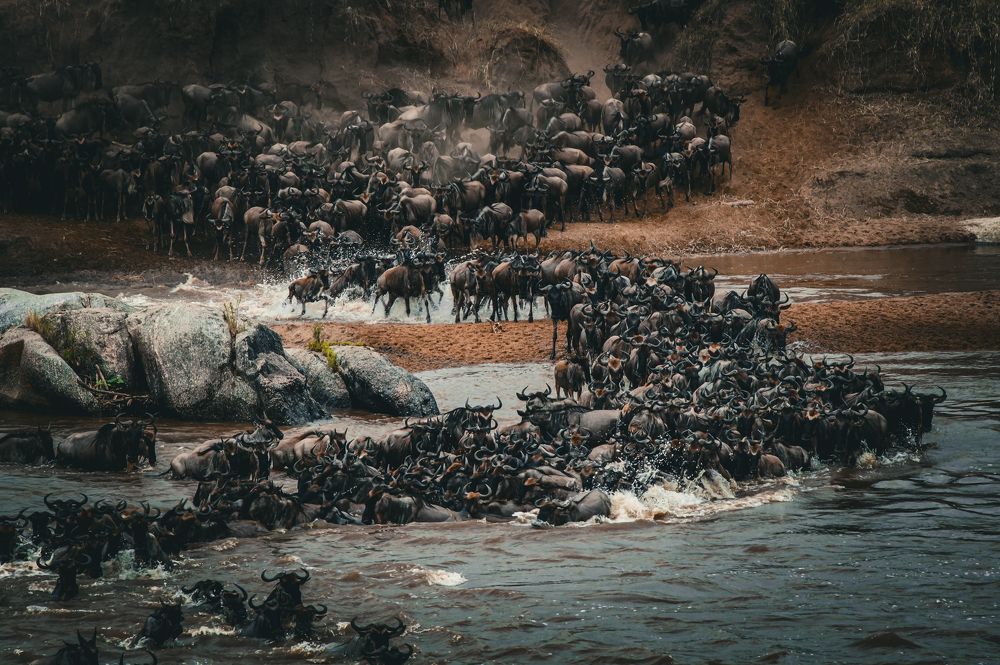 Photograph by Dipanjan Ray