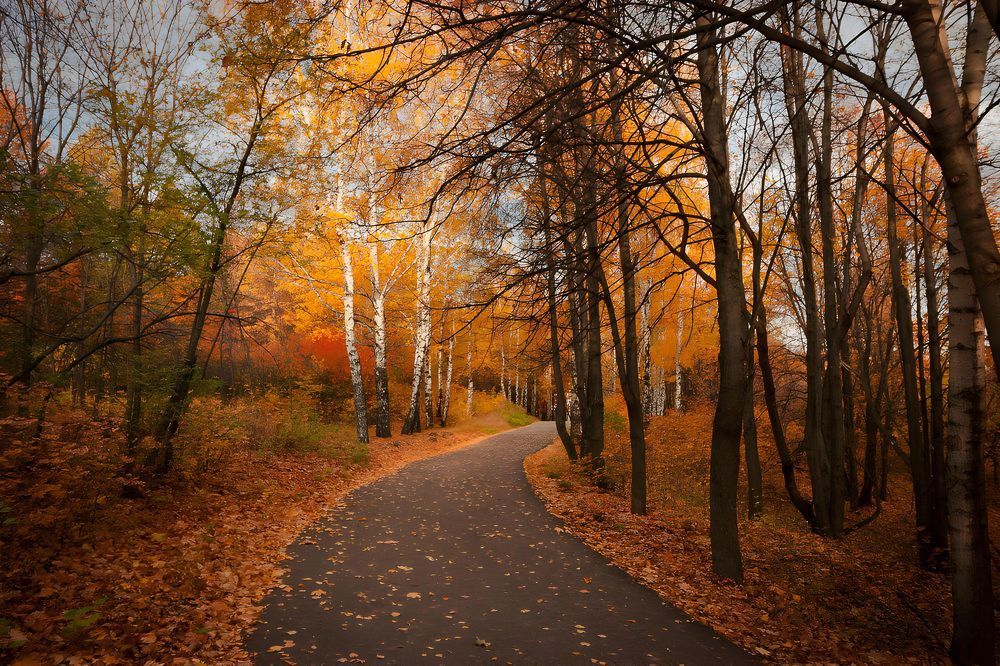 Photograph by Артëм