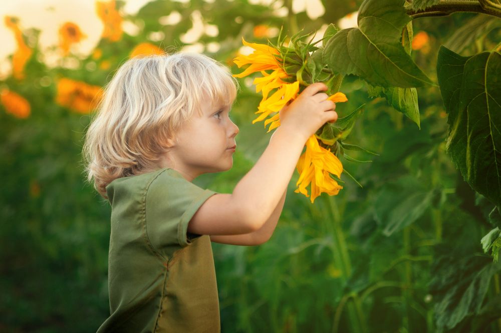 Photograph by Антонина Свешникова