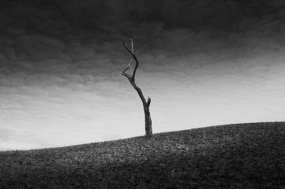 Фотография автора Евгений Иванов