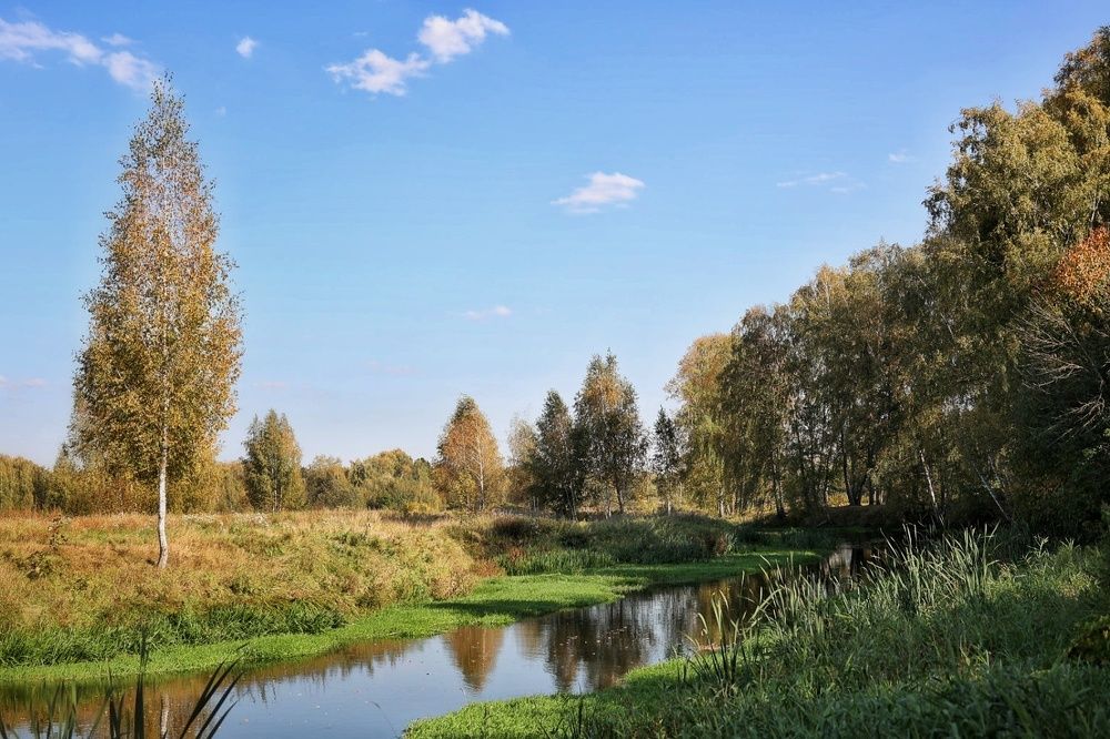 Photograph by Наталья Сафронова