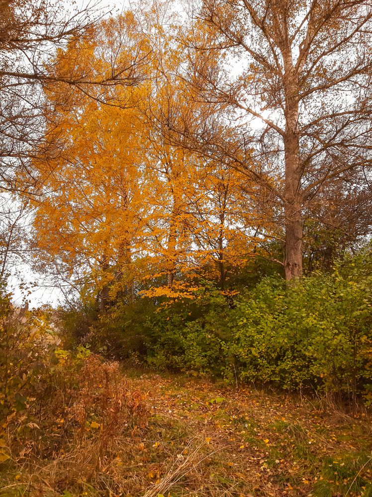 Photograph by Юлия Закопайло