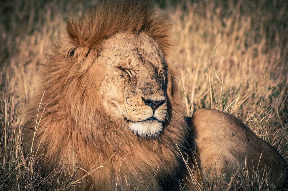 Photograph by Dipanjan Ray