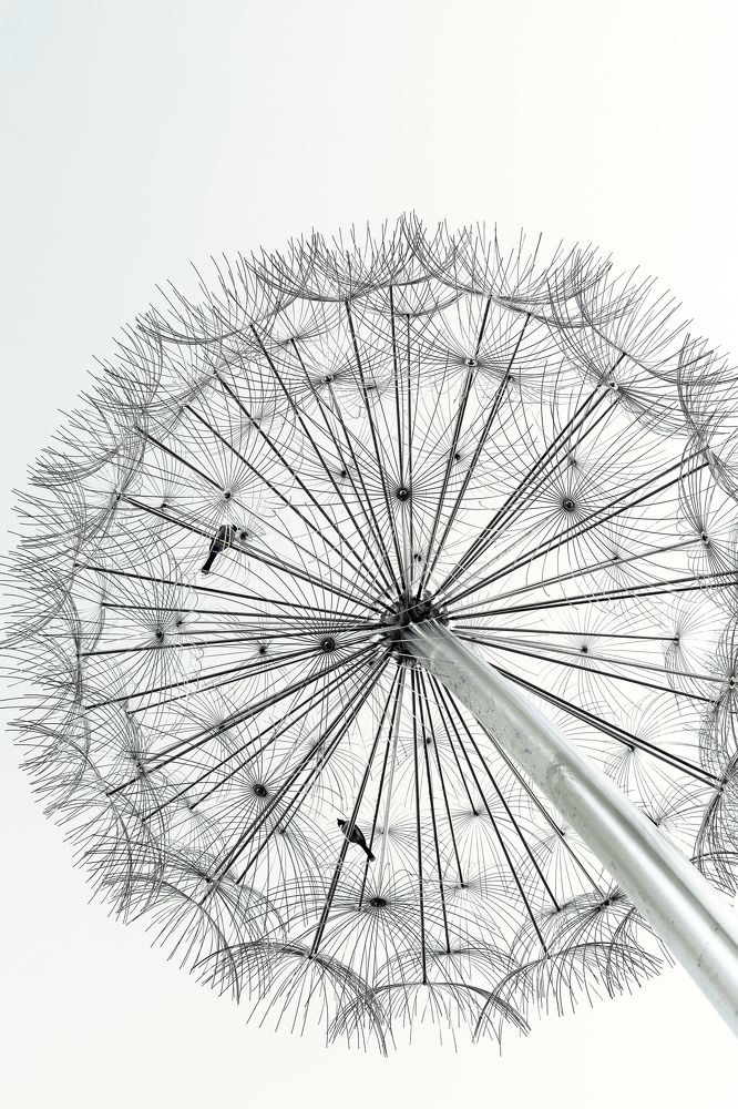 Photograph by Оксана Соколова