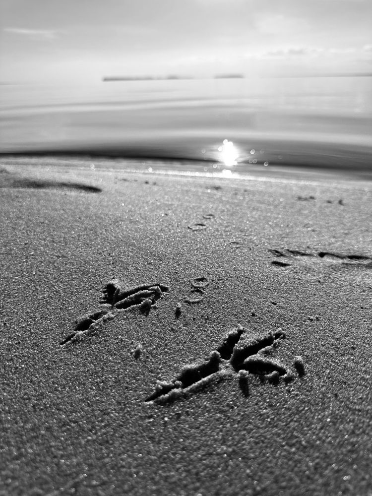 Photograph by Оксана Соколова