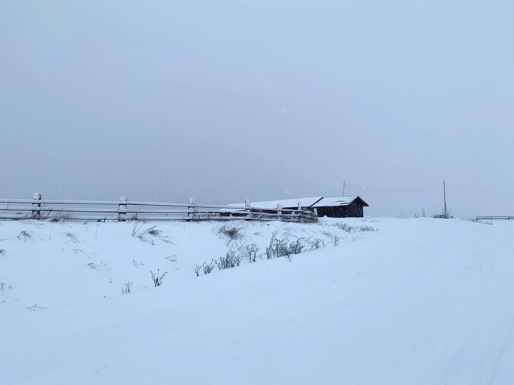 Photograph by Наталья Бирук