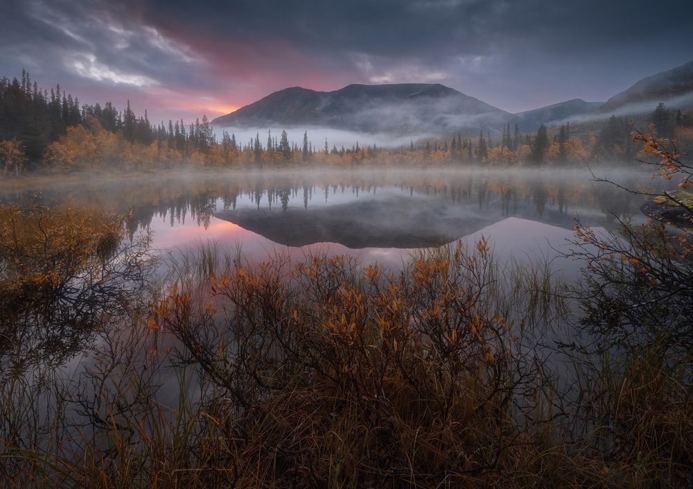 Утро осеннее...