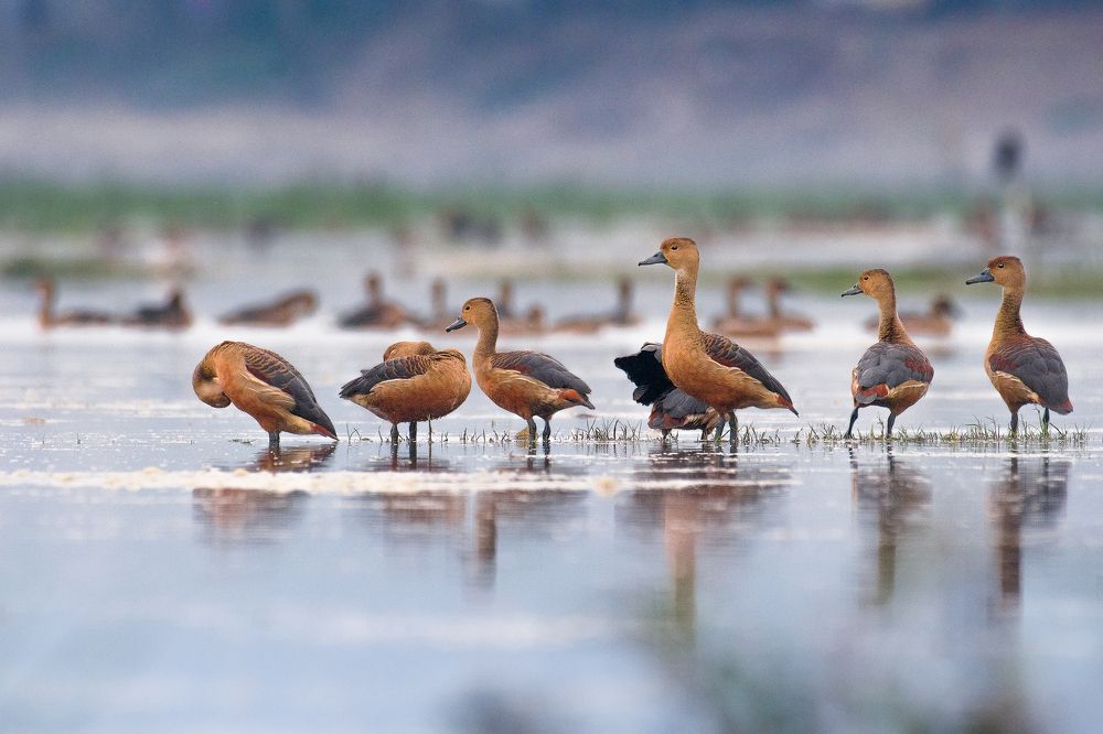 Photograph by Agnibho Saha