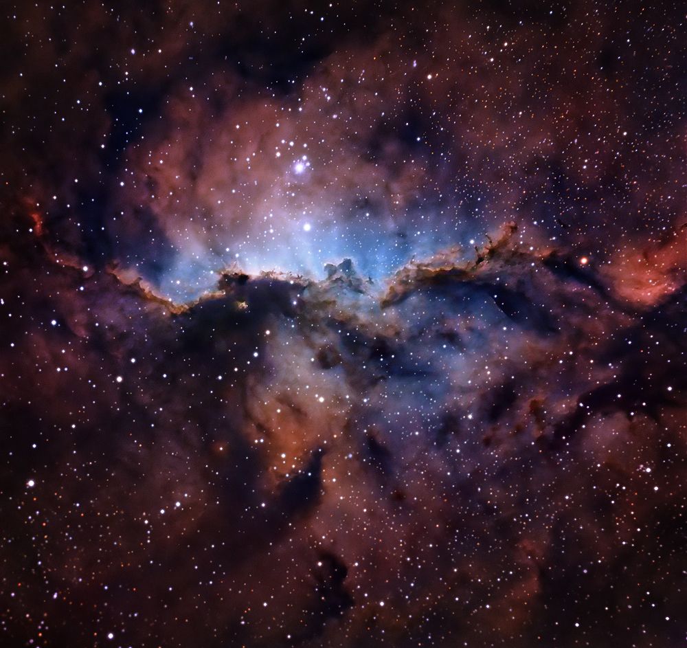 The Fighting Dragons of Ara