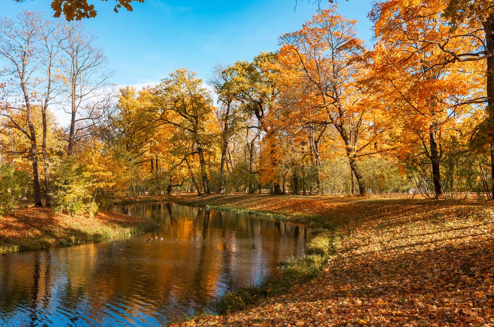 Photograph by Плешков Алексей