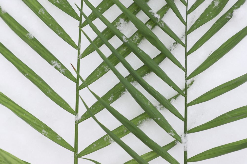 Photograph by Оксана Соколова