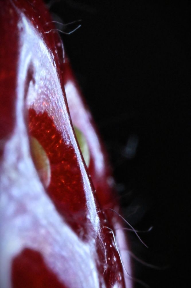 Фотография автора Ola La