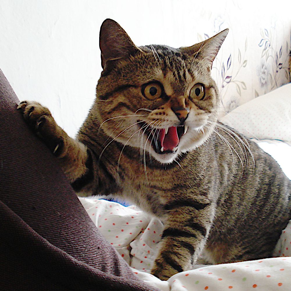 Не согласен!