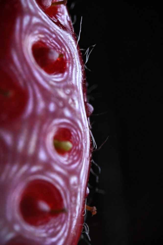 Фотография автора Ola La