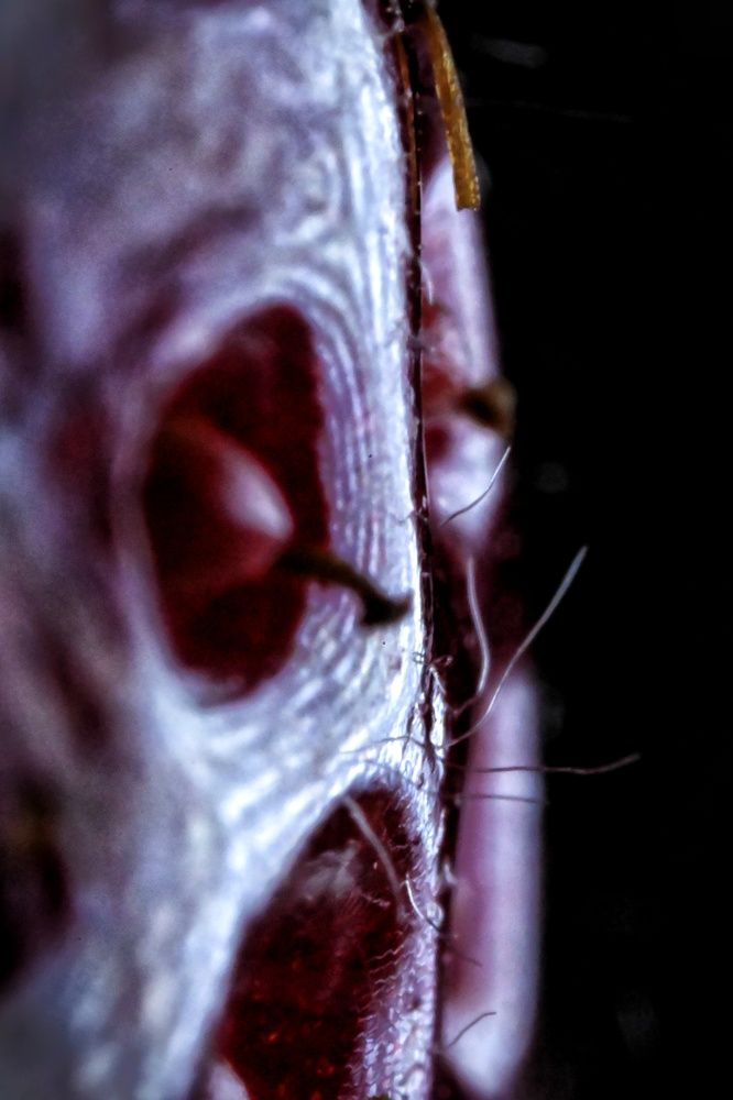 Фотография автора Ola La