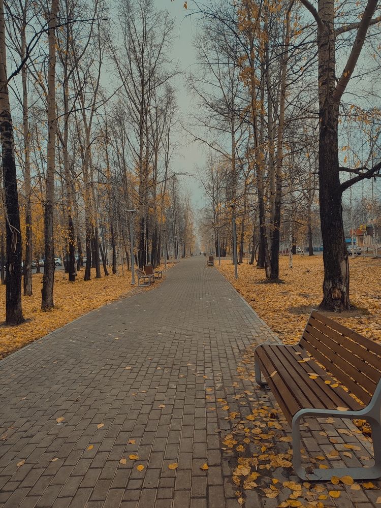 Photograph by Вера