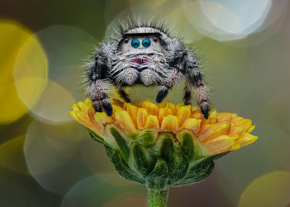 Photograph by Tran The Ngoc