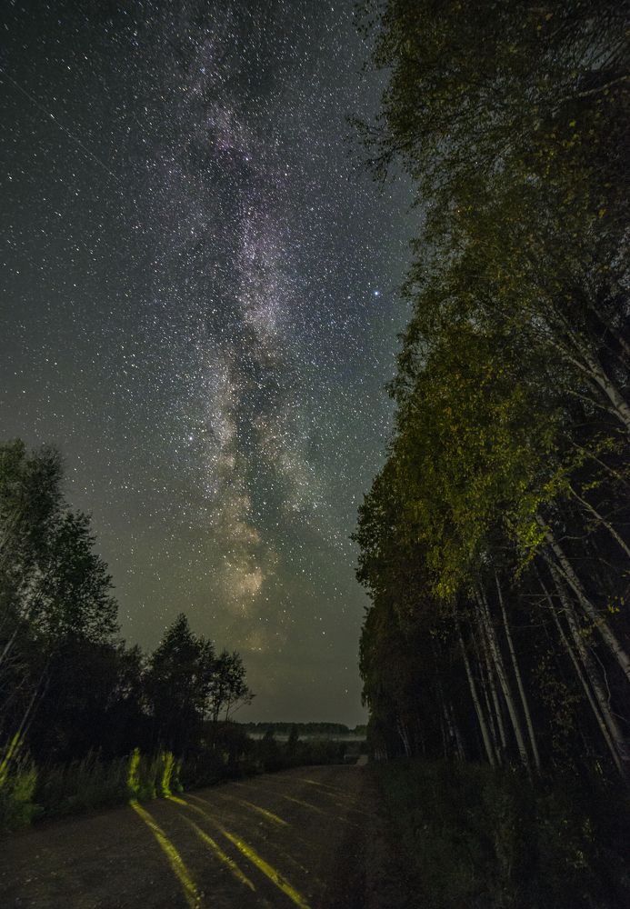 Photograph by Николай Лысцев