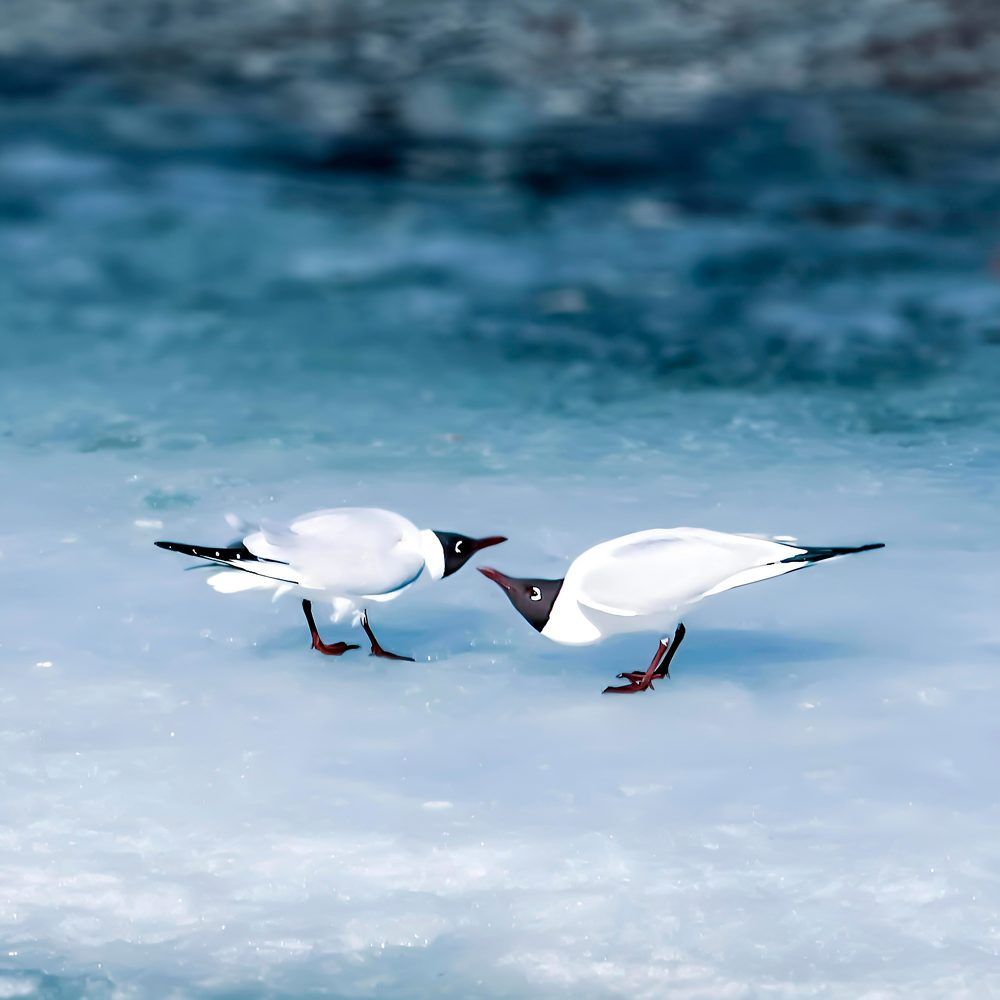 Photograph by Aljona Dyachenko