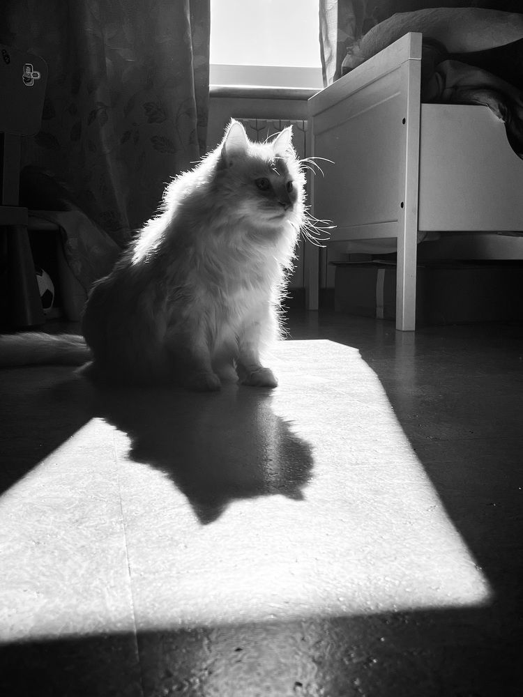 Photograph by Татьяна