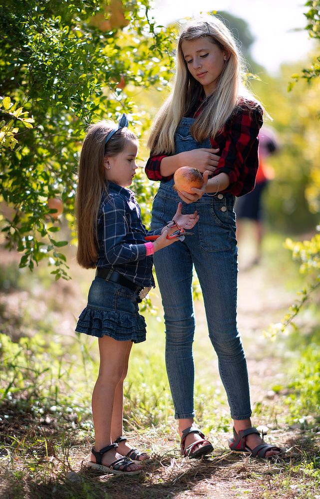 Photograph by Юлия Немченко