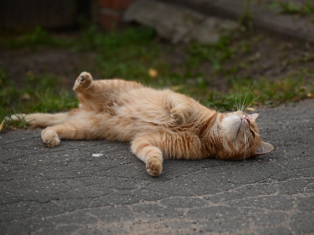 Photograph by Светлана Рубникович