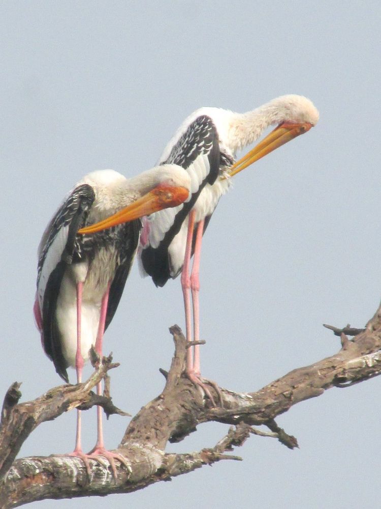 Photograph by Sougata Bhar