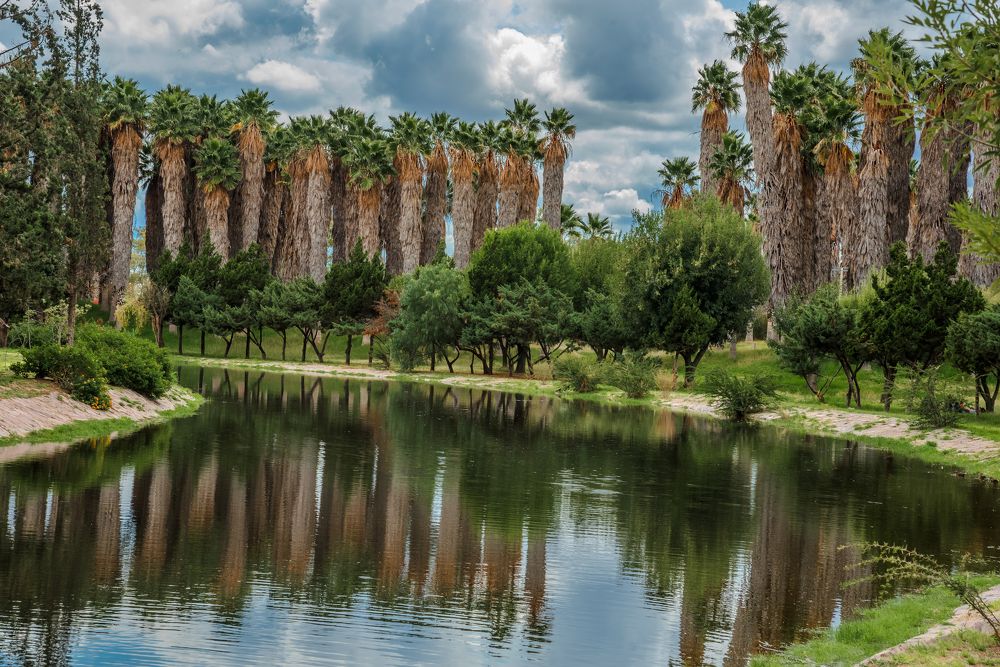 Photograph by Mosqueda Ruben