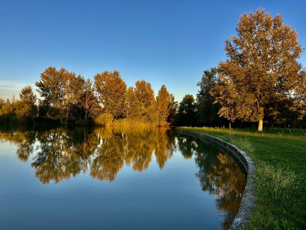 Photograph by Loreta Tepshi