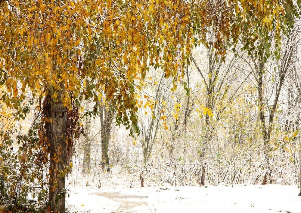 Photograph by Мария Андреева