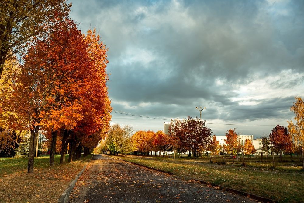 Фотография автора Александр Сенчуров
