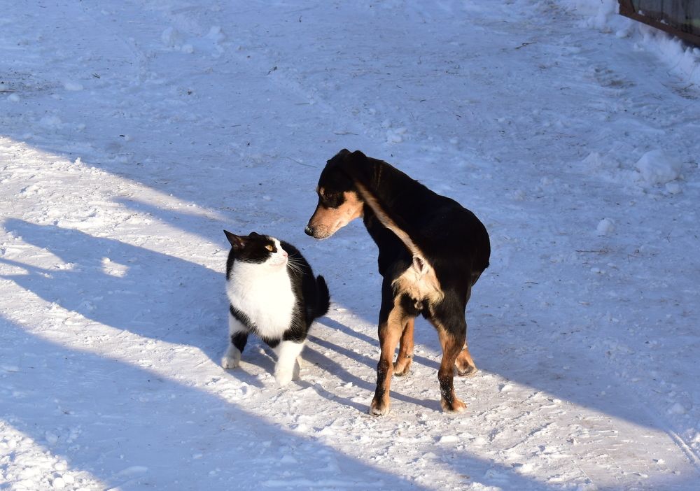 Photograph by Галина Купцова