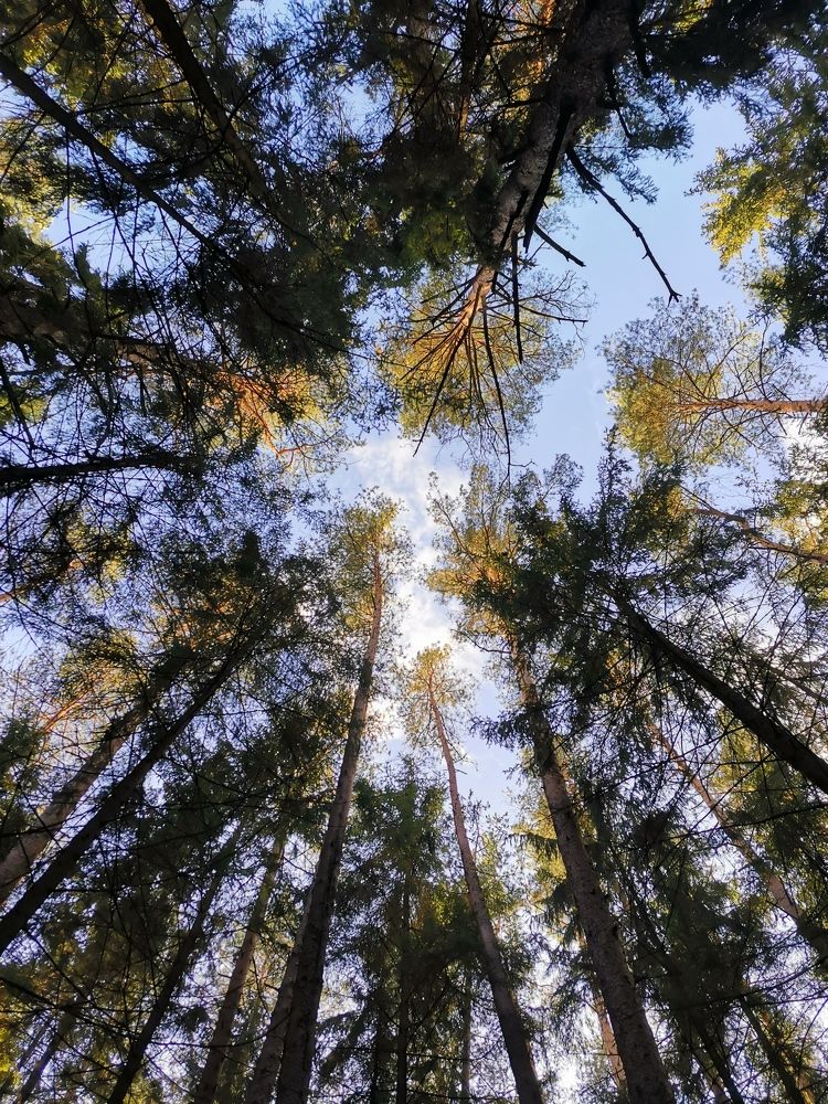 Photograph by Ольга Горбаткова