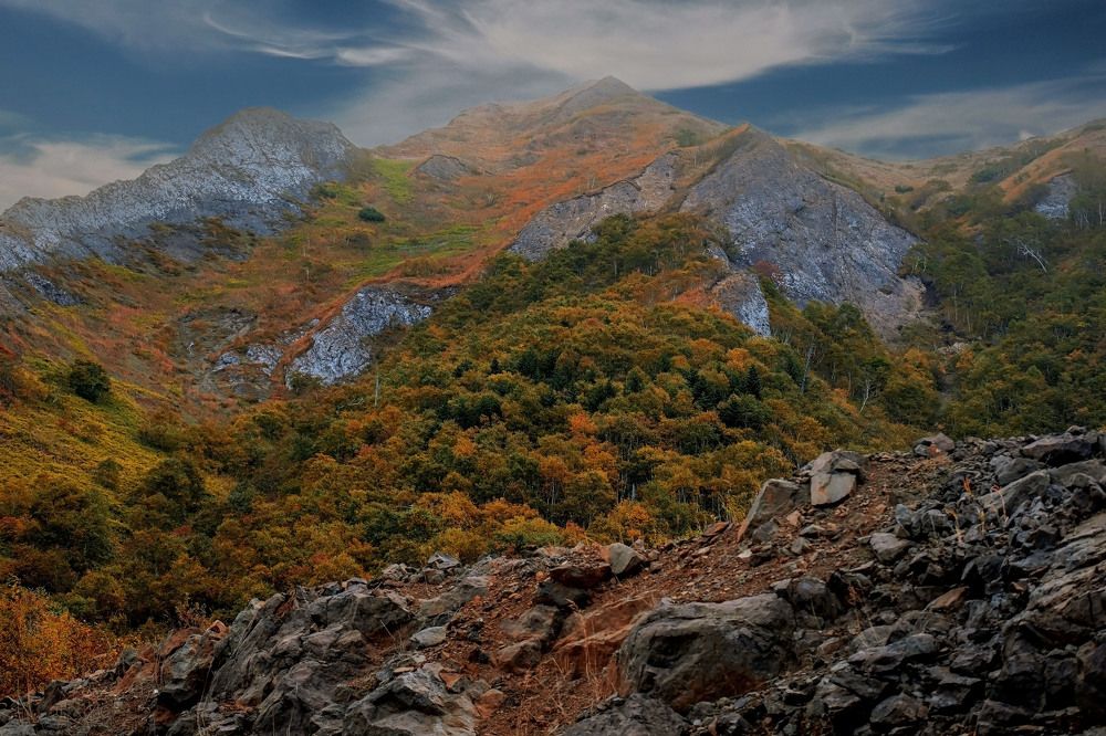 Photograph by lyudmila Soloveva