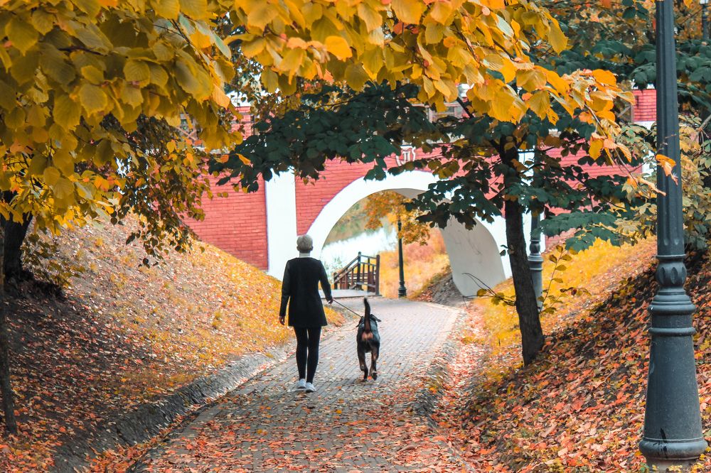 Photograph by Руслана Радкевич