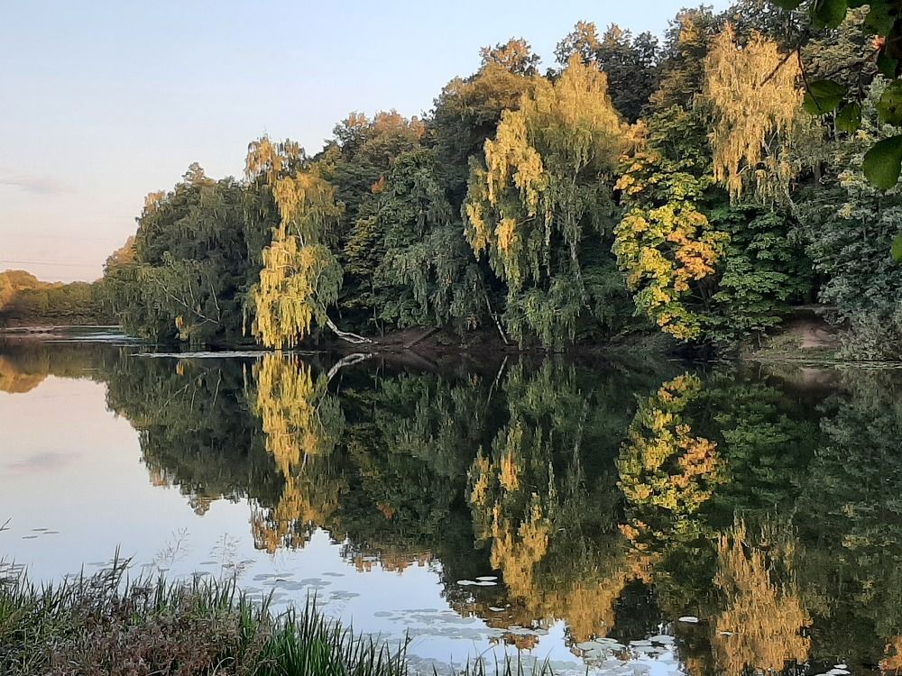 Фотография автора Дмитрий Нефёдов