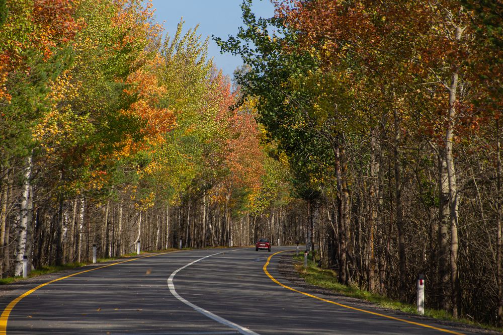 Photograph by Светлана Сипрова