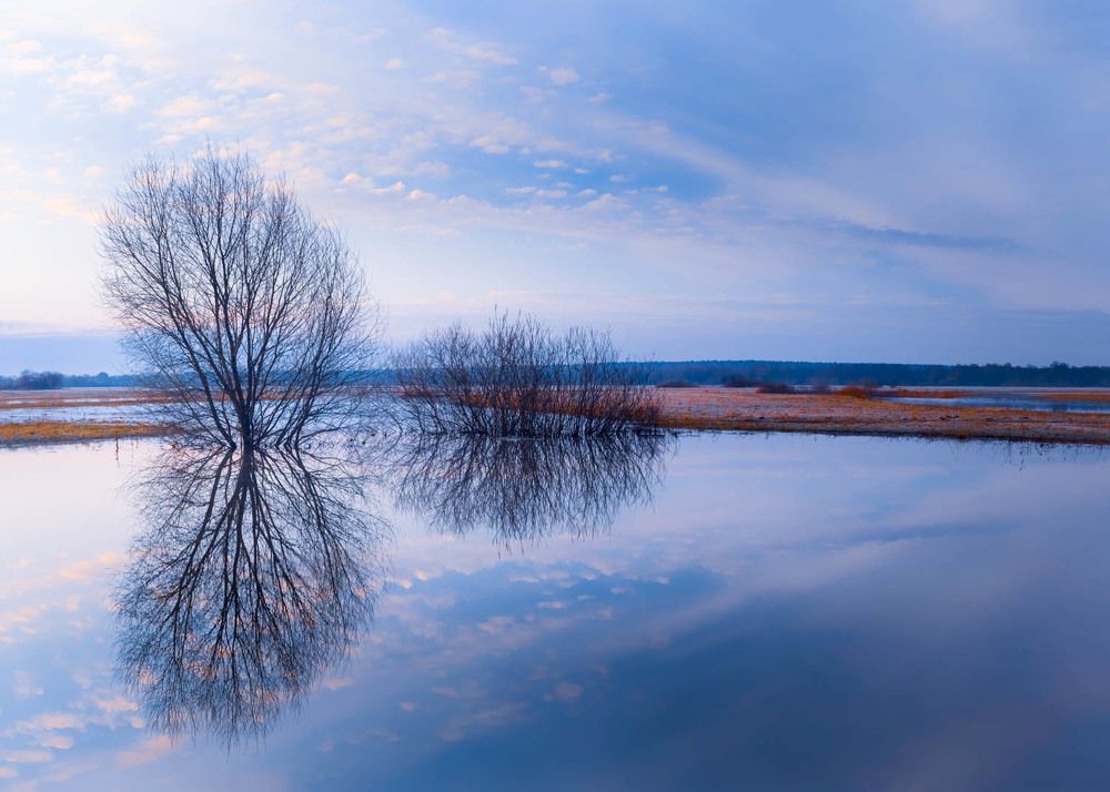 Photograph by Константин Гончаров