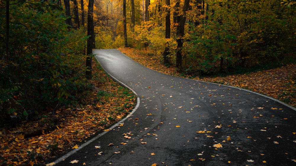 Photograph by Александр Битюков