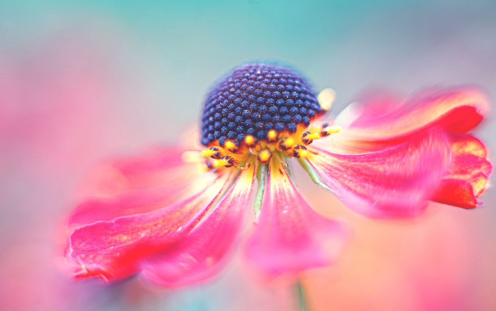 Photograph by Анастасия Сидоренко