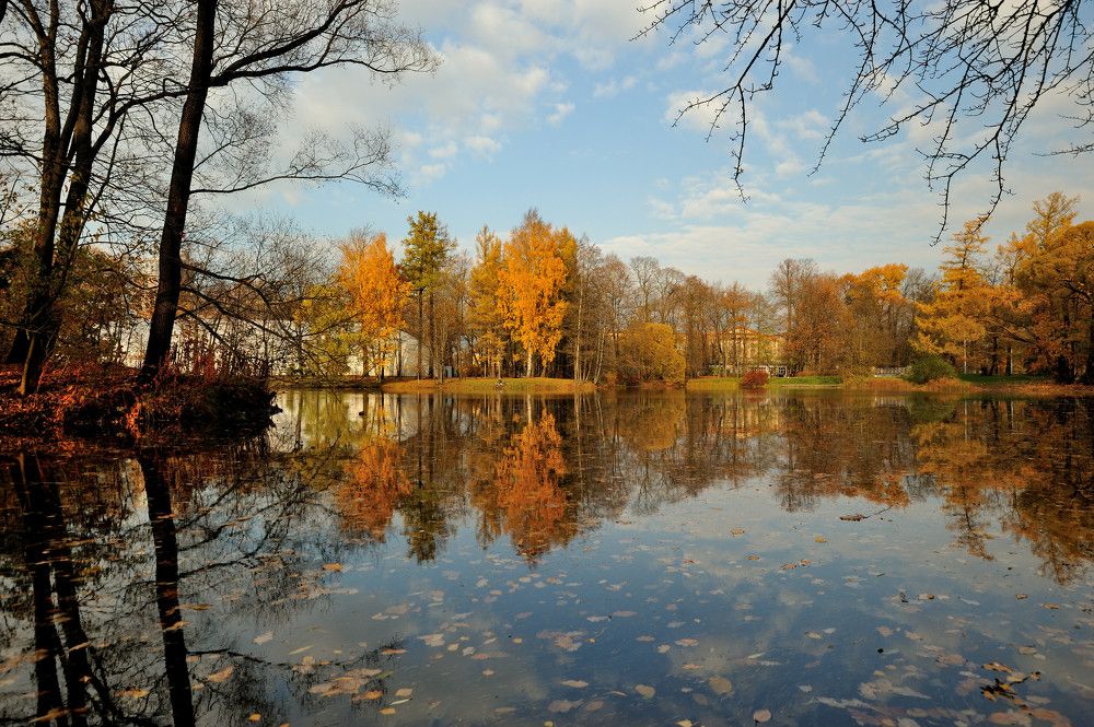 Photograph by Андрей Вестмит