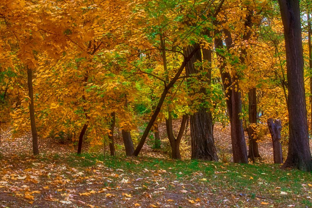 Photograph by Valentin Kayudin